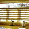 Wholesale Products Elite Blinds & Shutters